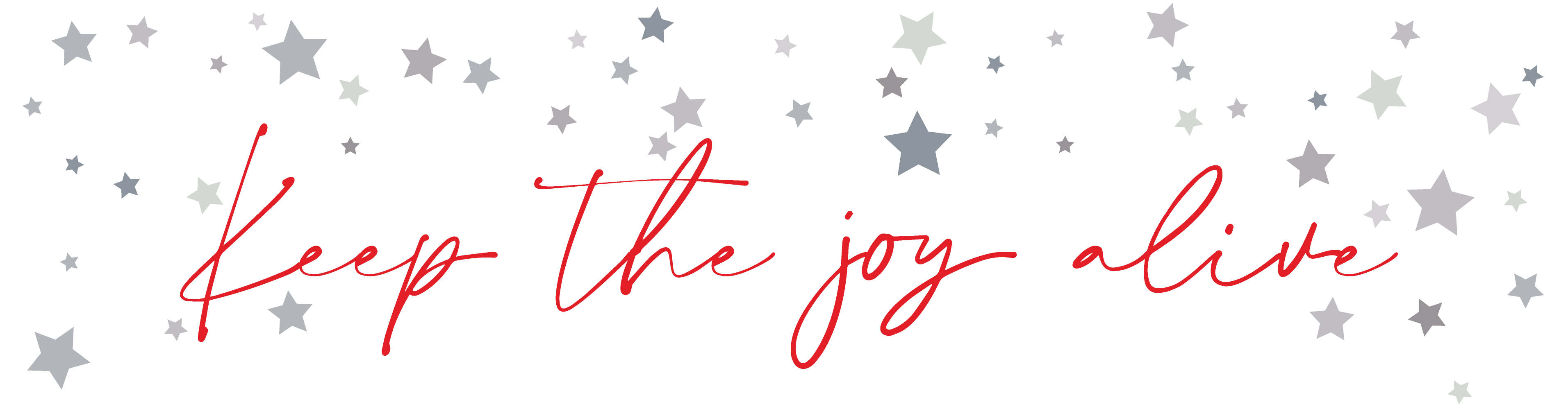 "keep the joy alive" in pretty cursive with silver stars surrounding it